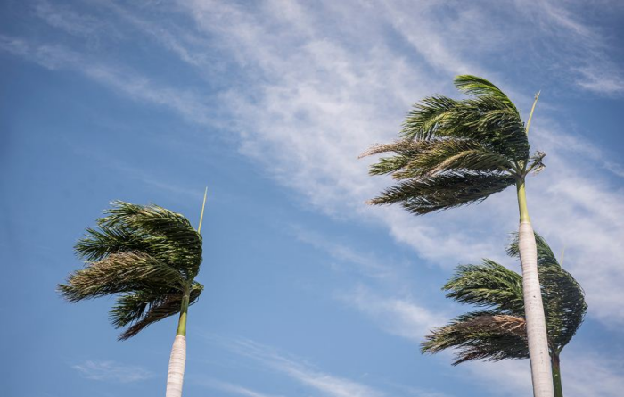 IMN espera que ráfagas de viento lleguen hasta 90km/h en Guanacaste y de hasta 60km/h en Valle Central