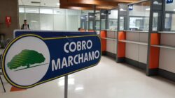 INS contabiliza más de 265 mil marchamos pagados en primer mes de puesta al cobro