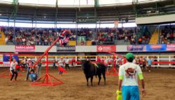 ¡Llegaron los festejos de fin y principio de año! Esta semana se realizará Tope Nacional, Carnaval y Fiestas de Palmares
