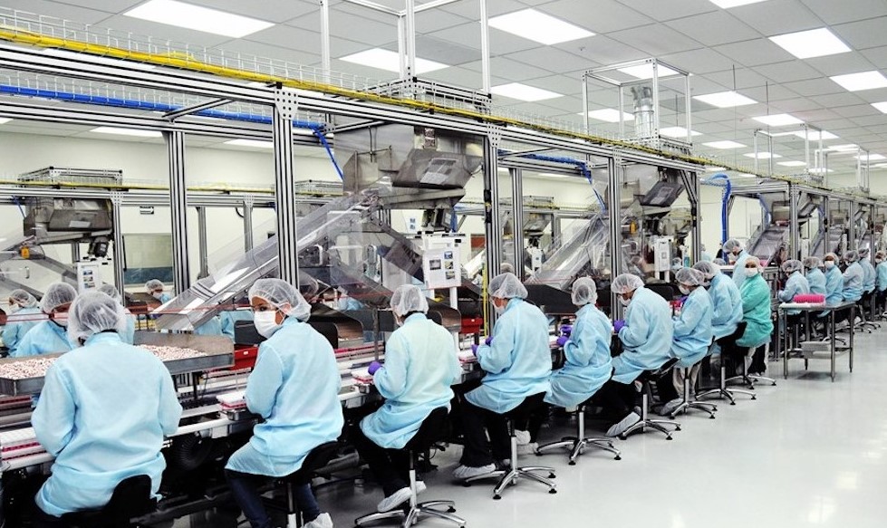 Industriales: Invertir en Puerto Caldera y generar perfiles para puestos que necesitan las empresas son retos para el 2024