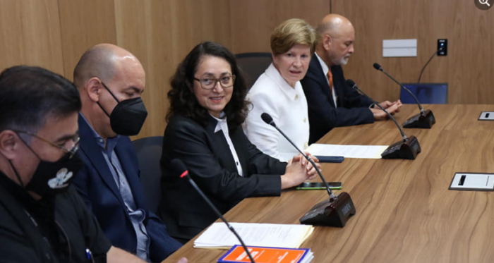 Presidenta del PPSD confirmó que se insistirá con procedimiento para expulsar a ocho diputados