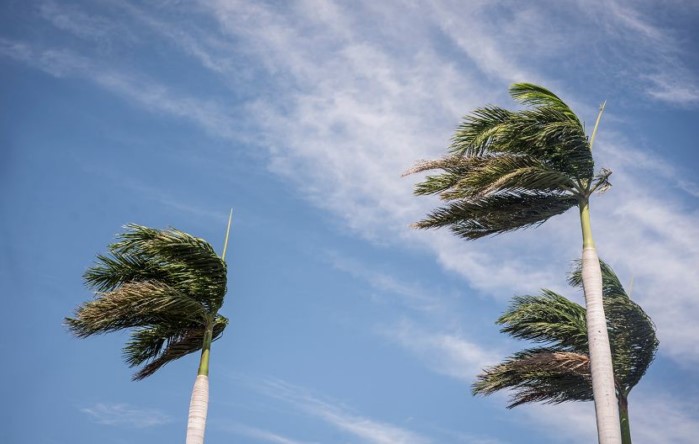 Empuje Frío No. 8 provoca vientos de hasta 100 Km/h y temperaturas hasta 4°C más frescas en el país