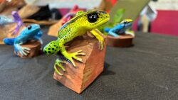 Feria Hecho Aquí 2023 con productos de artesanos ticos iniciará este viernes y tendrá entrada gratuita