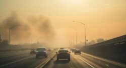2023 fue el año más caluroso de la historia: qué se espera para 2024, según las últimas proyecciones