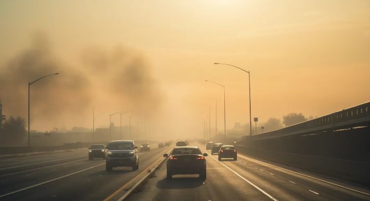 2023 fue el año más caluroso de la historia: qué se espera para 2024, según las últimas proyecciones