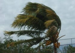 Vientos alisios alcanzaron los 103 km/h en el Pacífico Norte: Tendencia seguiría por el resto de la semana