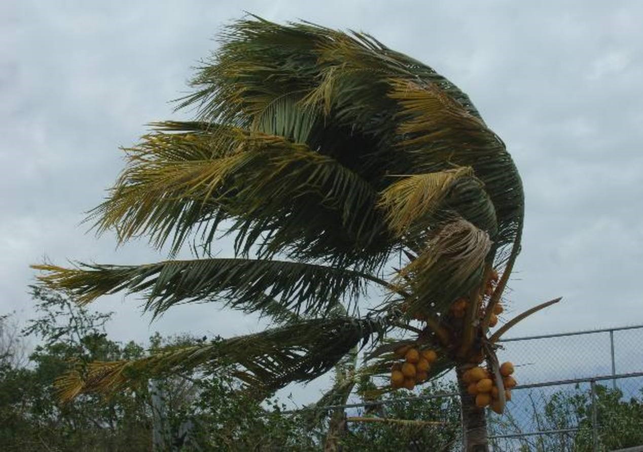 Vientos alisios alcanzaron los 103 km/h en el Pacífico Norte: Tendencia seguiría por el resto de la semana