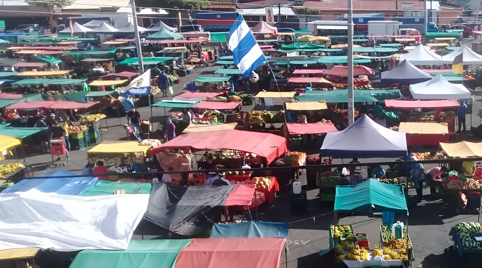 Agricultores se manifestarán este martes en contra de plan que cambiaría rectoría de las Ferias del Agricultor