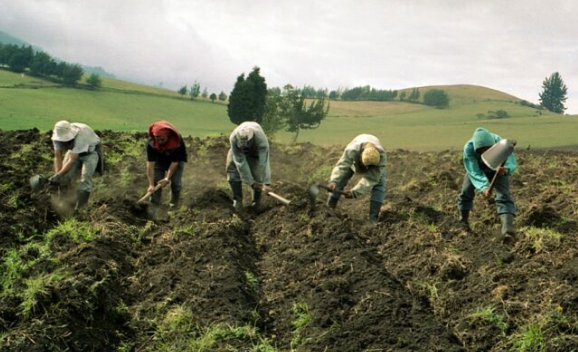 Agricultores piden al gobierno aumentar medidas para enfrentar la sequía