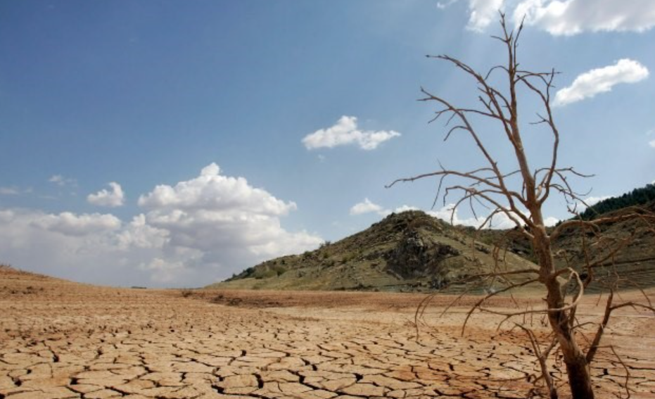 CNE no descarta que situación por sequía meteorológica pueda empeorar durante el avance del año