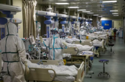 La OMS advirtió que 10.000 personas murieron por COVID-19 en diciembre