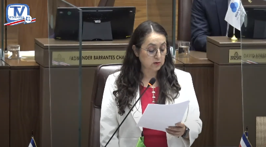 Diputada propone que sesión del Plenario se extienda hasta que se voten proyectos de seguridad