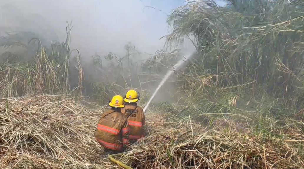 Hectáreas quemadas durante enero aumentaron un 1146% en comparación al año anterior