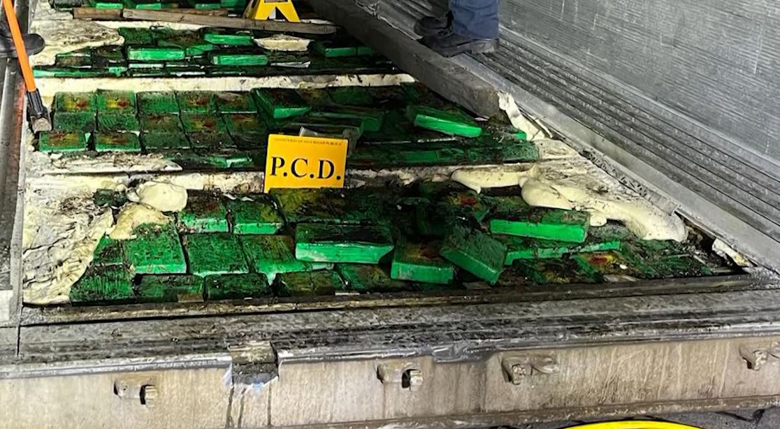 Incautan 347 paquetes de cocaína en contenedor que pretendía llegar a Bélgica desde APM Terminals