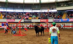 ¡No se lo pierda! Este 18 de febrero vuelven los ‘Toros del 6’ desde Parrita