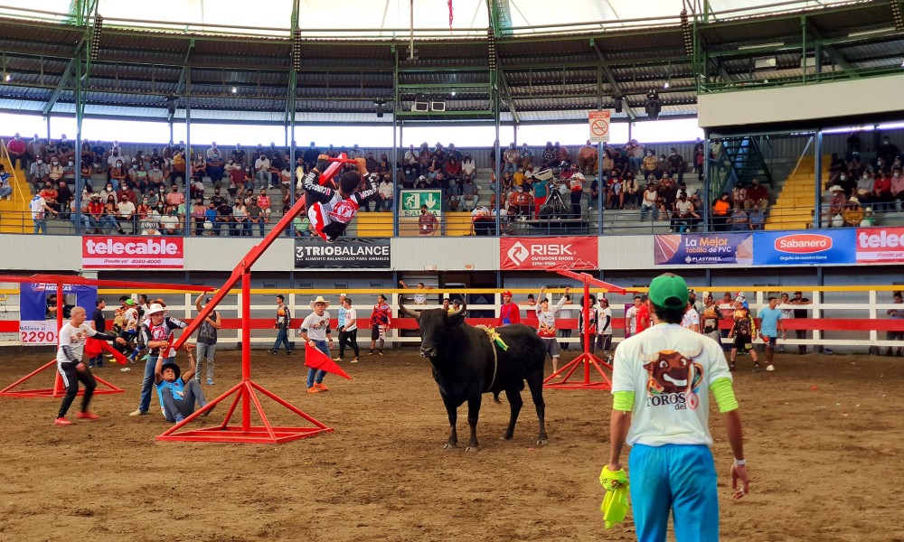 ¡No se lo pierda! Este 18 de febrero vuelven los ‘Toros del 6’ desde Parrita