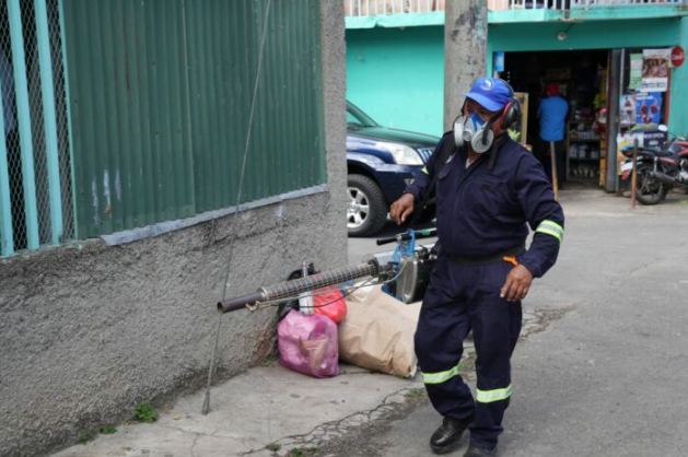 Salud contabiliza más de 16 mil viviendas fumigadas contra el dengue en 4 días