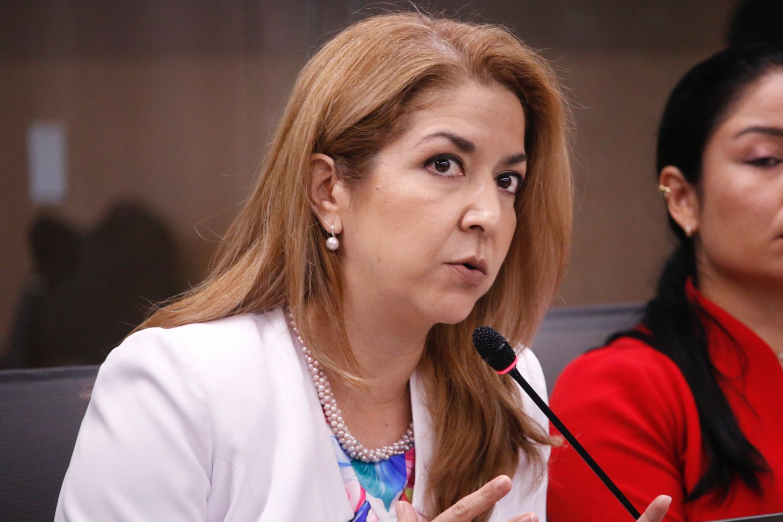 Oposición refuta argumentos de ministra de Salud para rechazar terreno en que se construiría nuevo hospital de Cartago