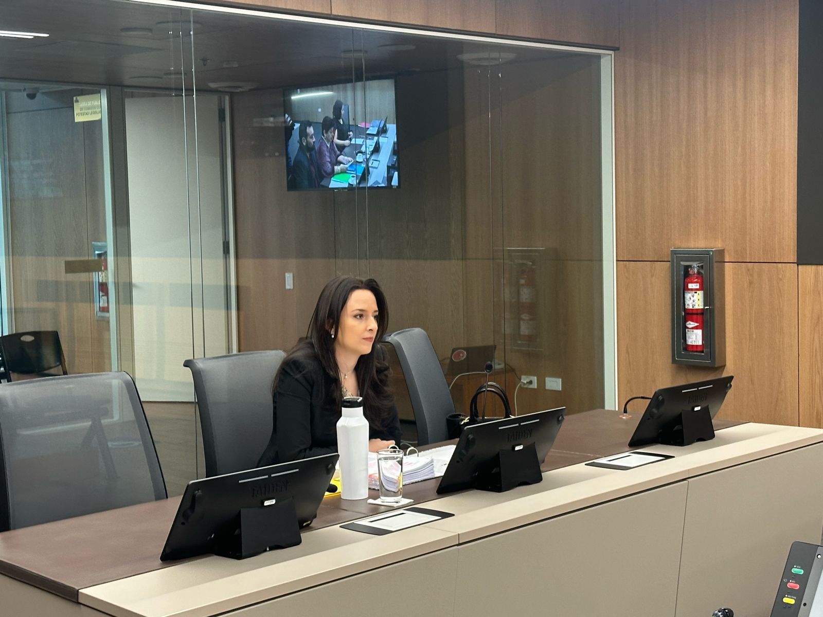 Ministra de la Presidencia