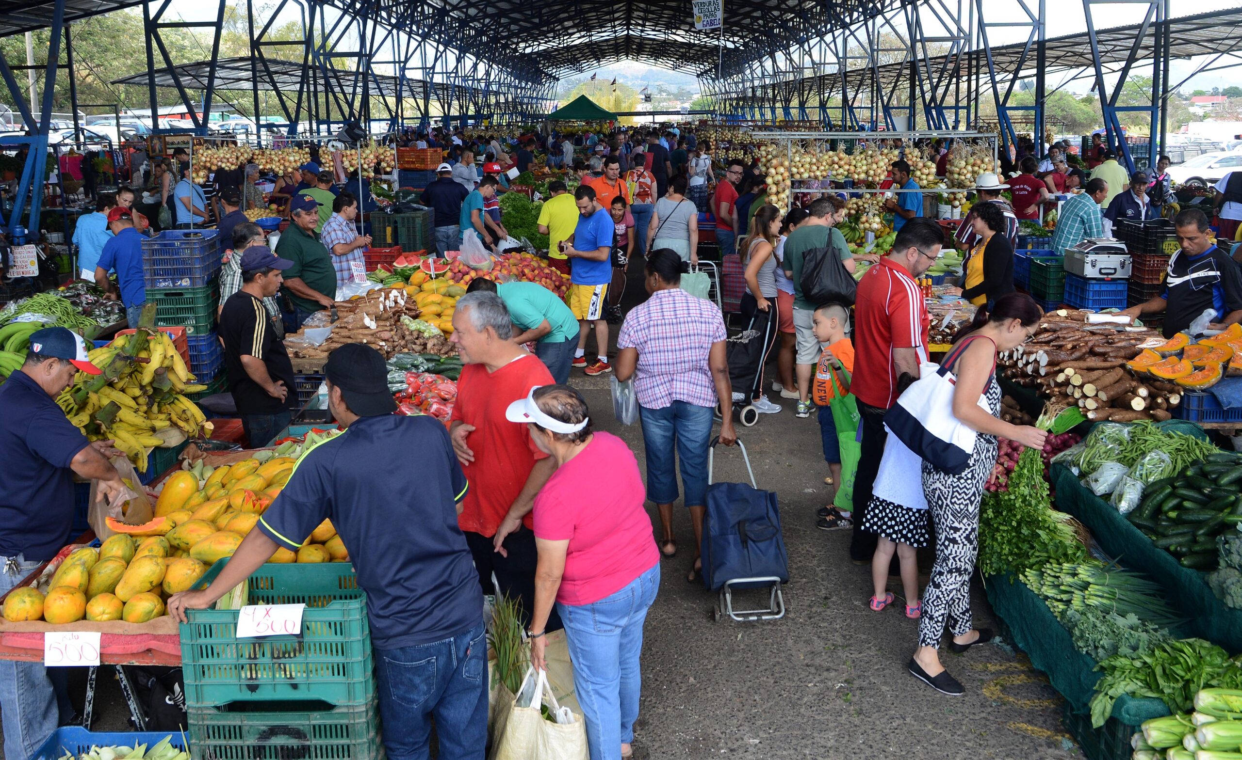 ¿Va para la feria? Tomate, papa y repollo están más caros esta semana
