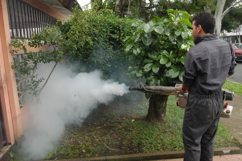 Salud mantiene alerta ante más de 150 casos de Oropouche reportados en Panamá