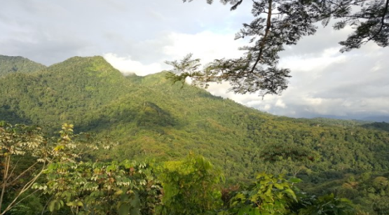 SINAC contará con recursos para mejorar condiciones de Parques Nacionales