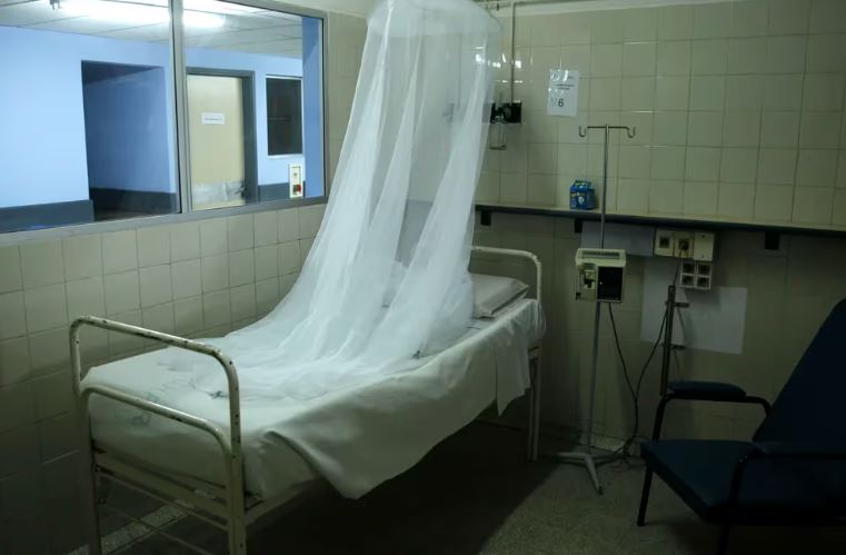 Uruguay confirmó “circulación viral” del dengue y el gobierno se prepara “para lo peor”