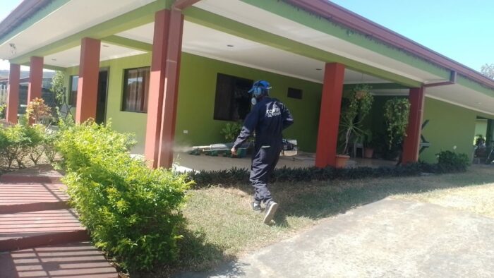 Salud: Cerca de 2700 casas se fumigan por día contra el dengue