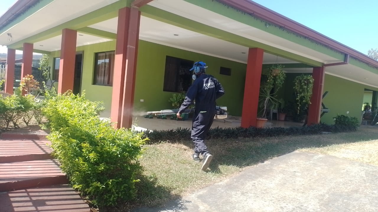 Salud: Cerca de 2700 casas se fumigan por día contra el dengue