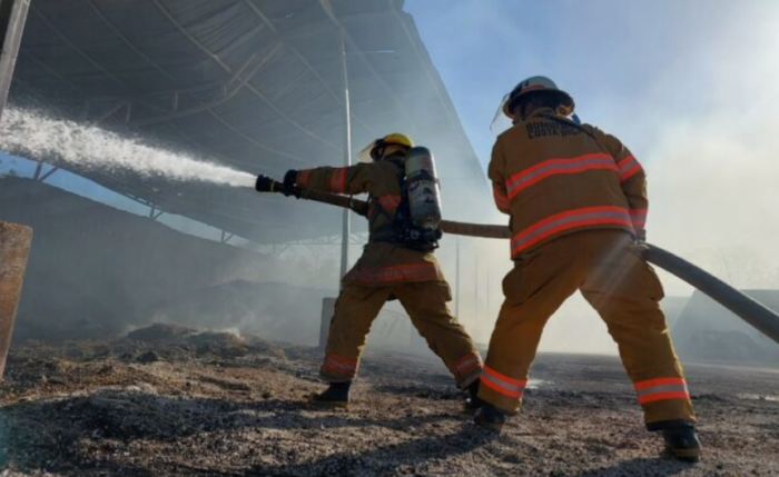 Bomberos atribuyen aumento en incendios forestales a altas temperaturas, irresponsabilidad y falta de protocolos
