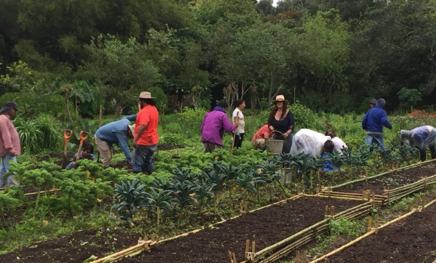 Defensoría: Agricultores temen por sana de competencia en mercados y falta de seguros que cubran al sector
