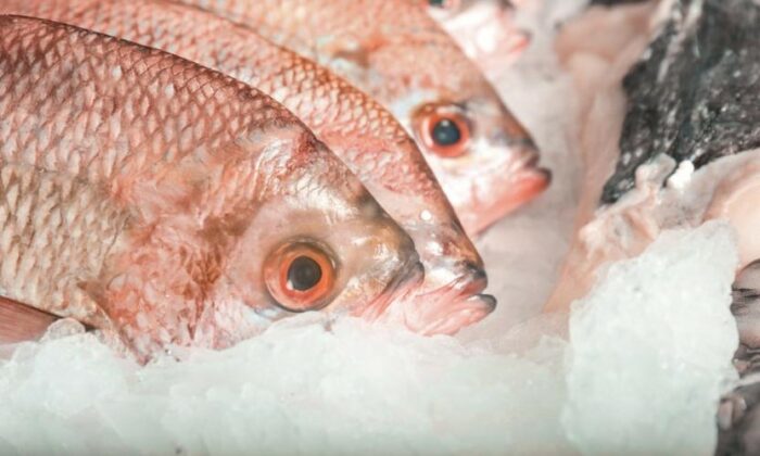 SENASA recomienda revisar estado de los mariscos ante compras de Semana Santa