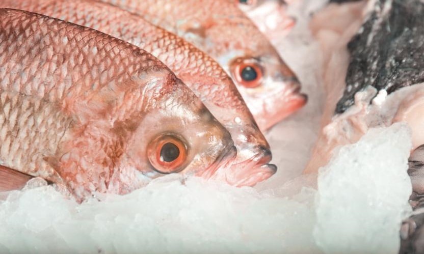 SENASA recomienda revisar estado de los mariscos ante compras de Semana Santa