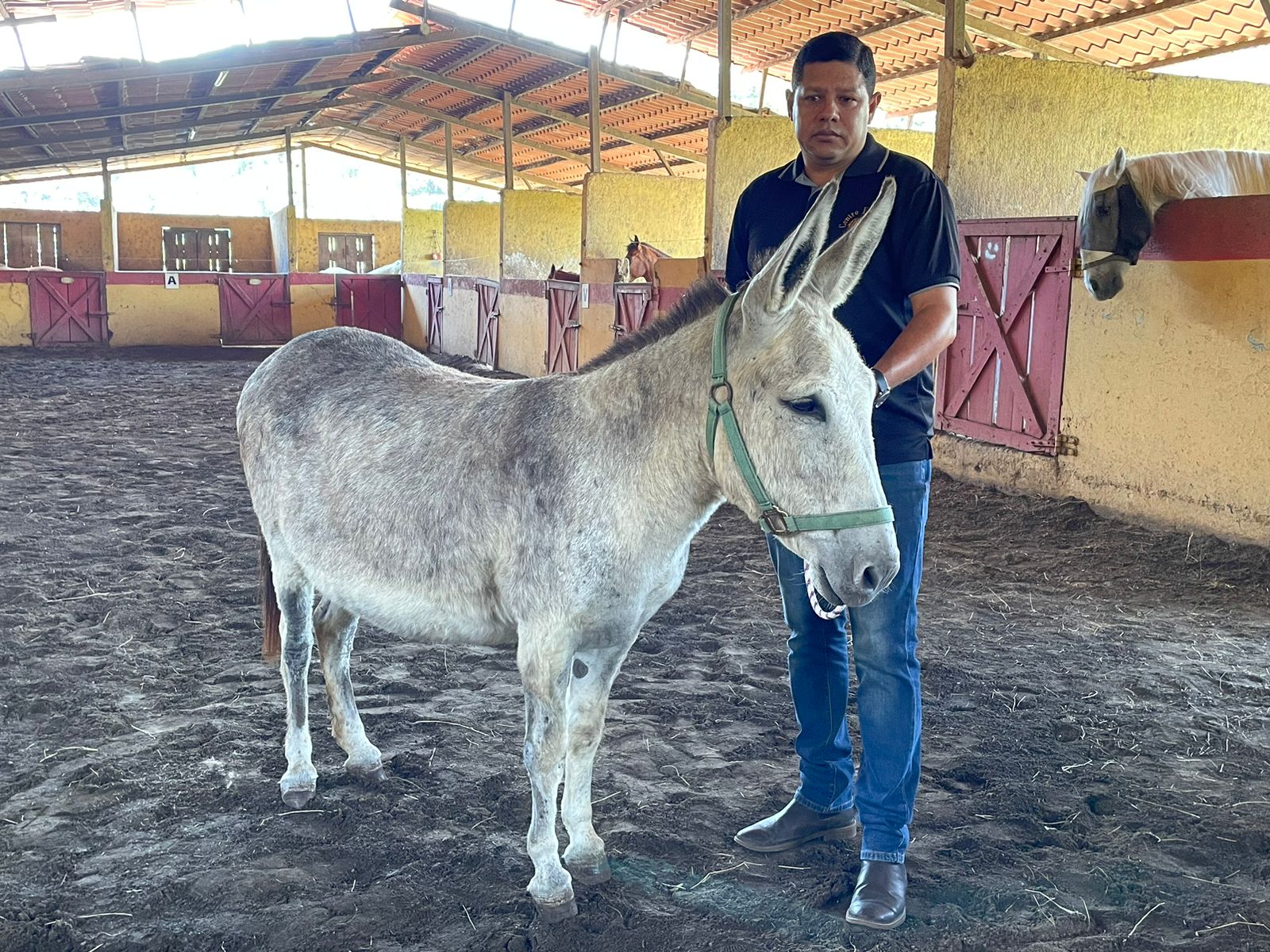‘Burrito Pepe’ participará este domingo por tercer año consecutivo de las procesiones de Semana Santa en San José