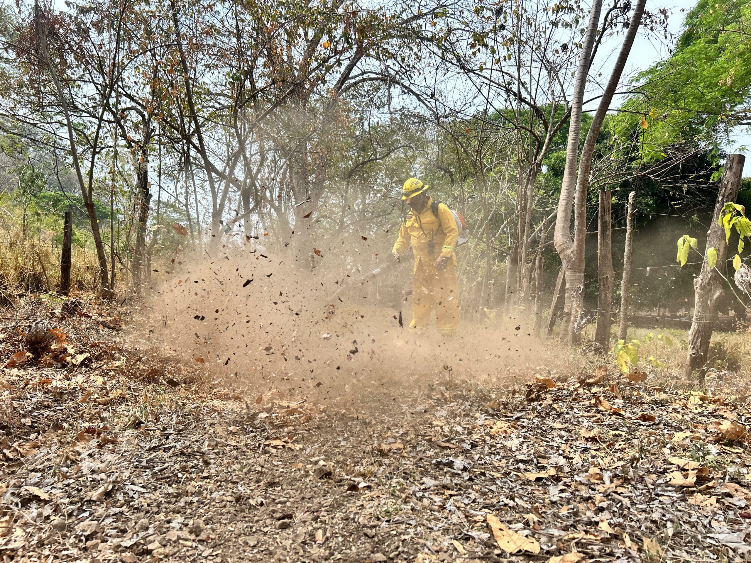 Incendio forestal en Isla Chira alcanzó las 300 hectáreas afectadas