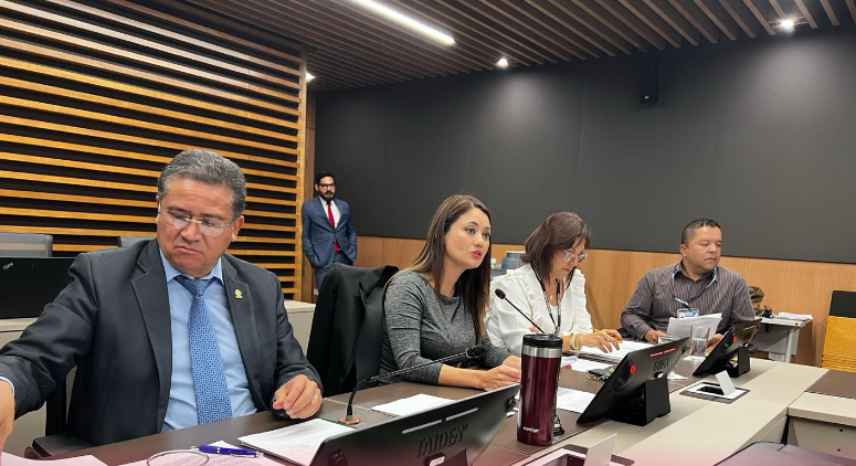 Diputados esperan este lunes despejar dudas con jerarca de la CNE sobre caso de Aeropuerto Daniel Oduber