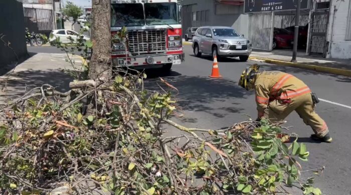 Bomberos atendió 71 incidentes por fuertes vientos en las últimas horas