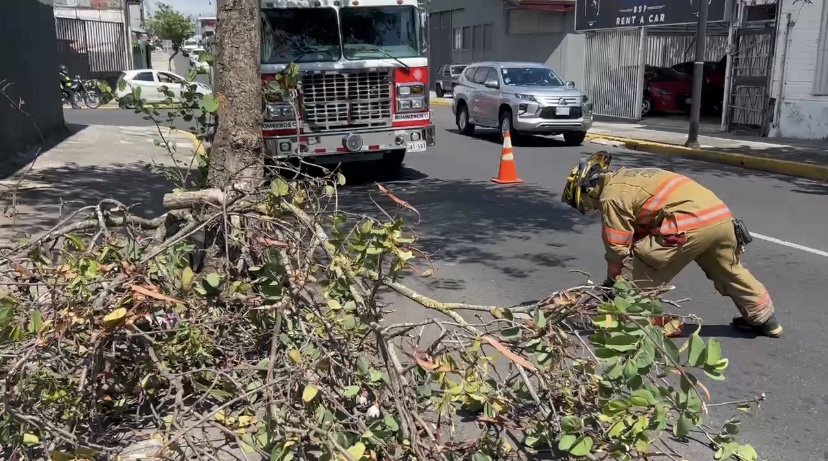 Bomberos atendió 71 incidentes por fuertes vientos en las últimas horas