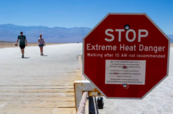 “Directores de calor”: la estrategia de varias ciudades del mundo para enfrentar efectos de temperaturas extremas