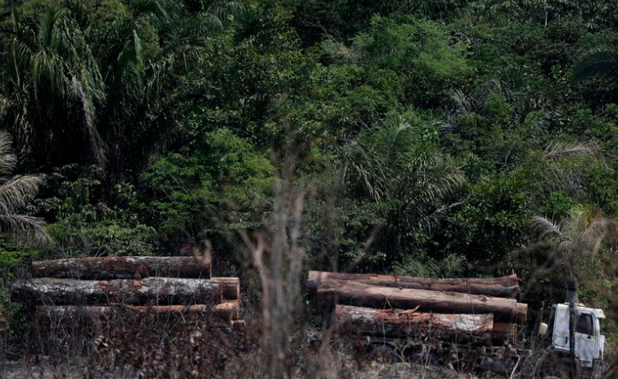 Invasión en áreas protegidas y minería ilegal destacan entre los delitos ambientales más denunciados en 2023