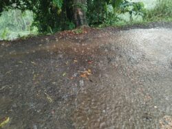 IMN prevé aumento en precipitaciones en el Caribe y ráfagas de viento fuertes en el Pacífico hasta el viernes
