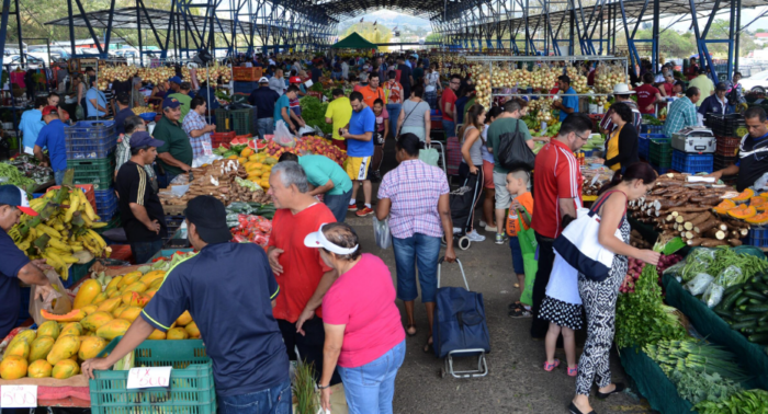 Repollo y lechuga americana son entre 58% y 77% más caros en supermercados que en Ferias del Agricultor