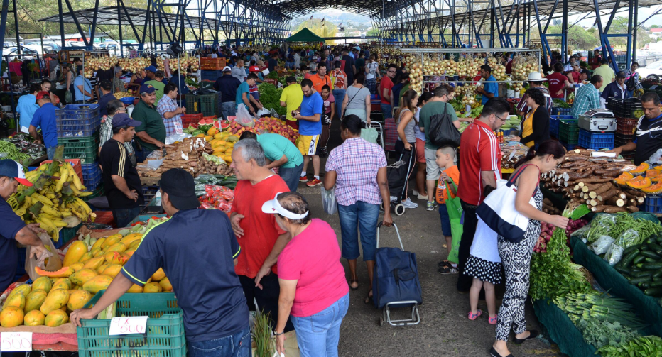 Repollo y lechuga americana son entre 58% y 77% más caros en supermercados que en Ferias del Agricultor