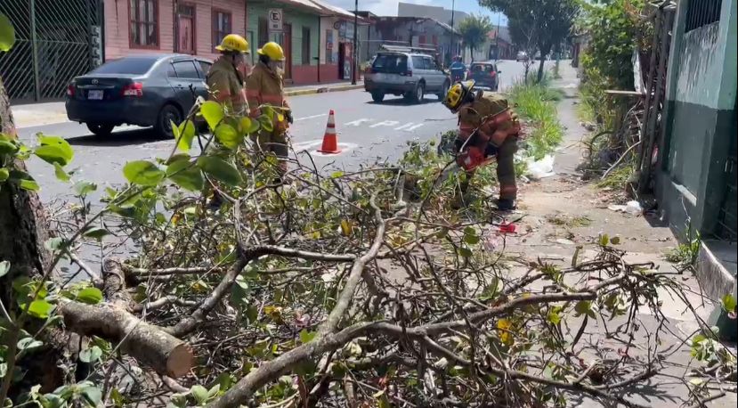 Fuertes vientos provocaron 119 incidentes en el país