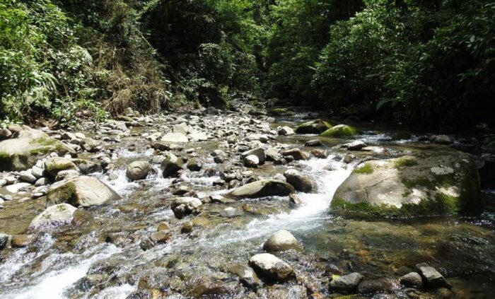 ARESEP proyecta cambios en la tarifa de las ASADAS para agosto de este año