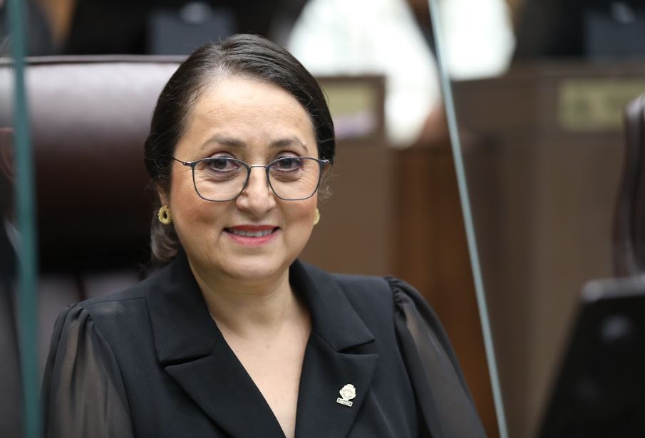 Diputada oficialista acude a Sala IV ante falta de firma de proyecto de Ley por parte del Presidente