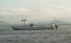 IMAS subsidiará a más de mil pescadores tras período de Veda en Golfo de Nicoya