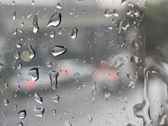 Exportadores y empresarios turísticos expresan preocupación por cierres de Ruta 32 en tan solo el inicio de la época lluviosa