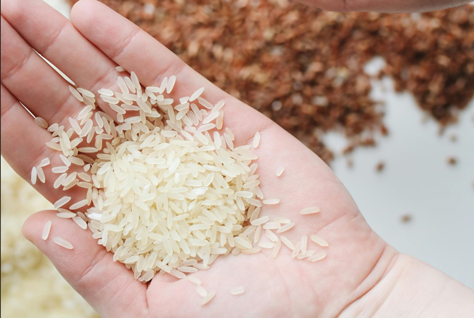 Gobierno analiza reducir aranceles para importación de arroz ante solicitud de declaratoria de desabasto