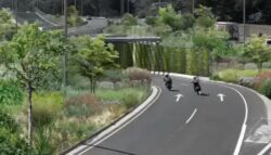 MOPT impulsará plan para «embellecer» con naturaleza distintas obras viales a lo largo de la Circunvalación